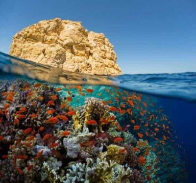 Diving and snorkeling Egypt