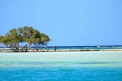 Diving and snorkeling Egypt
