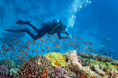 Diving and snorkeling Egypt