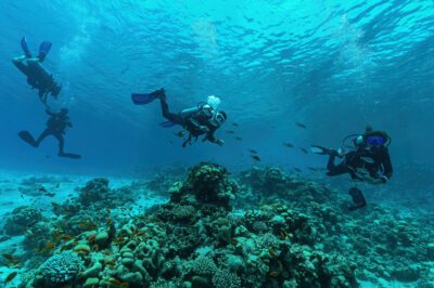 Diving and snorkeling Egypt