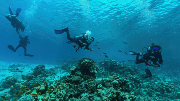 Golden Bay trip in Wadi El Gemal