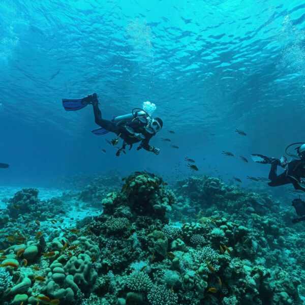 Golden Bay trip in Wadi El Gemal