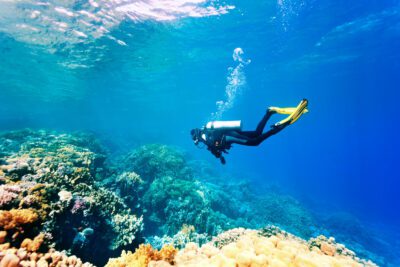 Diving and snorkeling Egypt